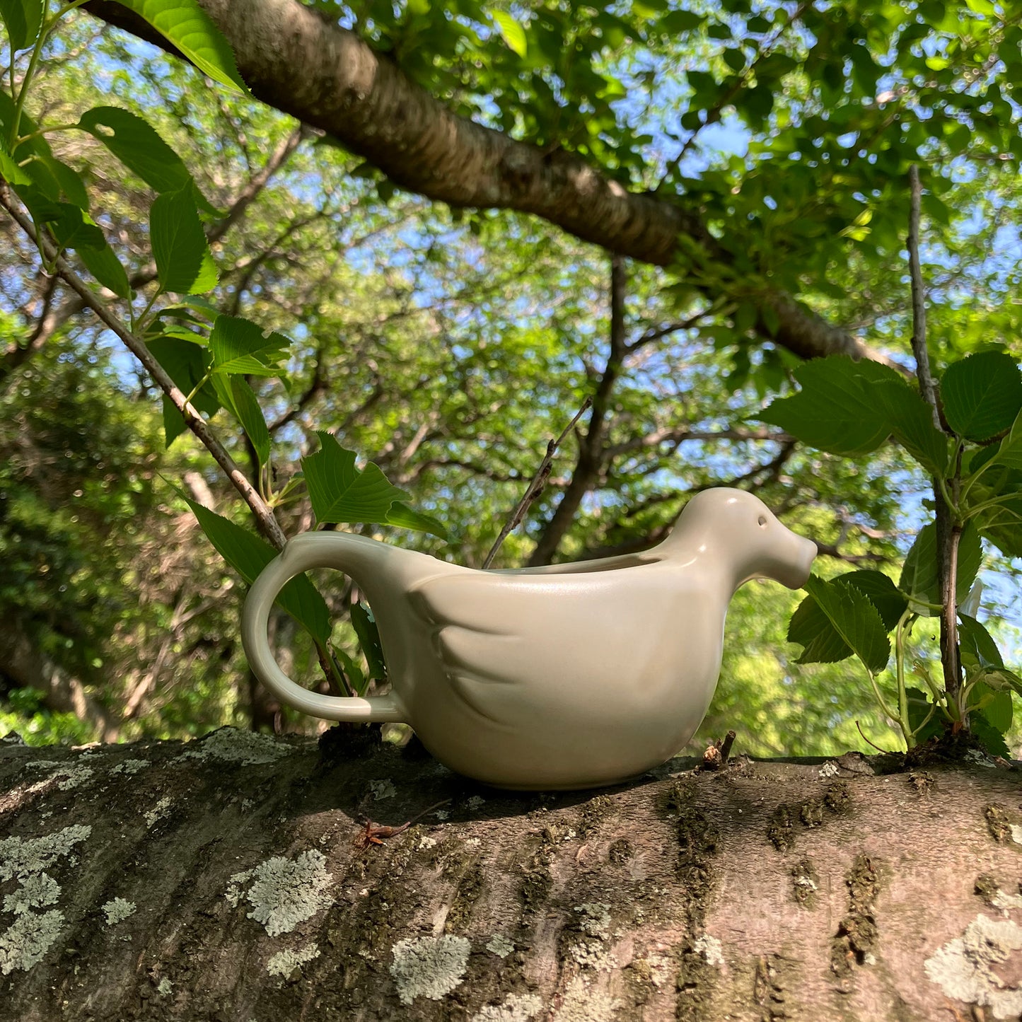 Bird tea pot & cup